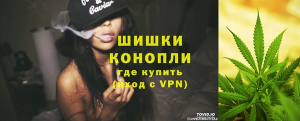 сатива Гусиноозёрск