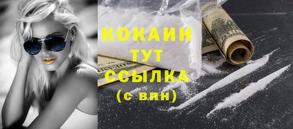 гидра Гусь-Хрустальный