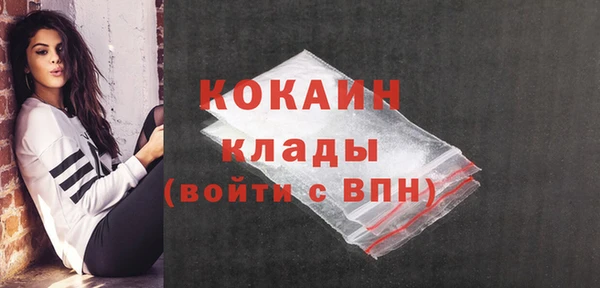сатива Гусиноозёрск