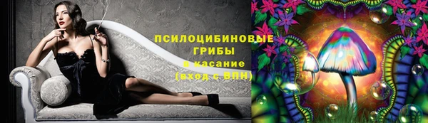 гидра Гусь-Хрустальный